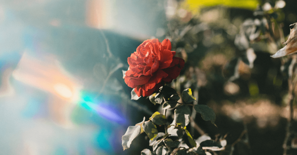 Worship Songs About Light