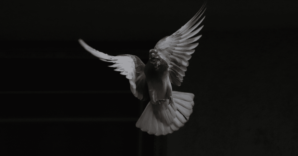 worship songs about the Holy Spirit