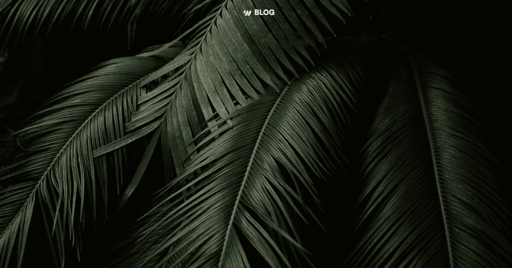 Palm Sunday Worship Songs 2024 [w/ Tutorials]